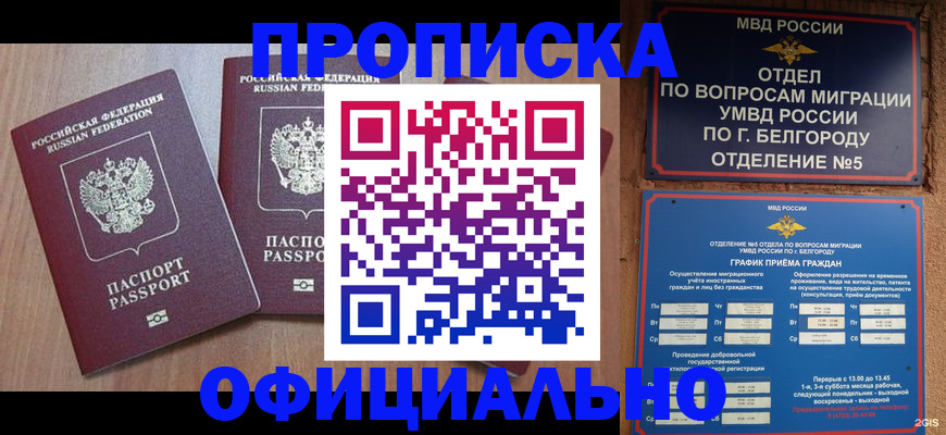 найти адрес прописки в Кораблино